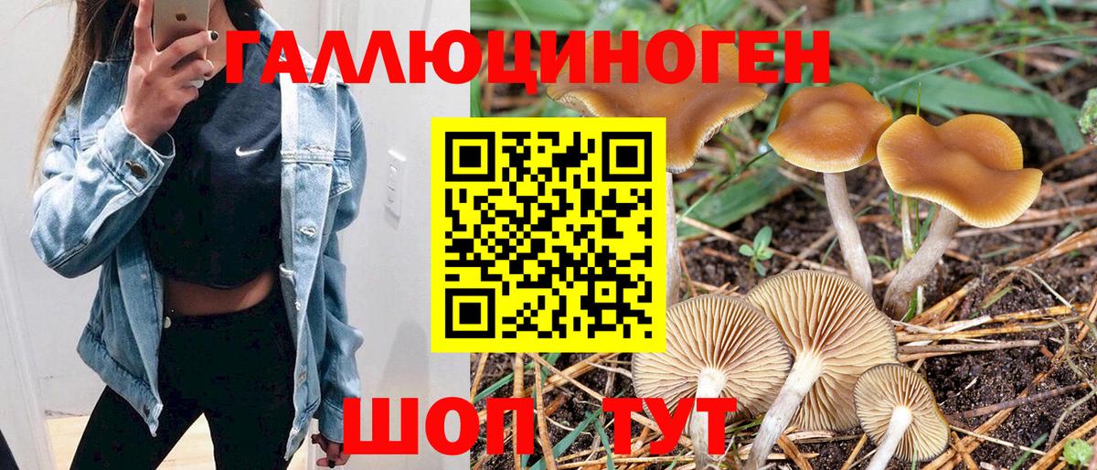 Псилоцибиновые грибы GOLDEN TEACHER Братск